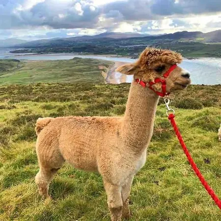 Floor Retreat Portmor- Sea, & Balcony