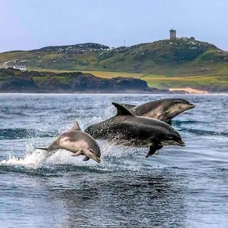 Floor Retreat Portmor- Sea, & Balcony Διαμέρισμα Slievebane