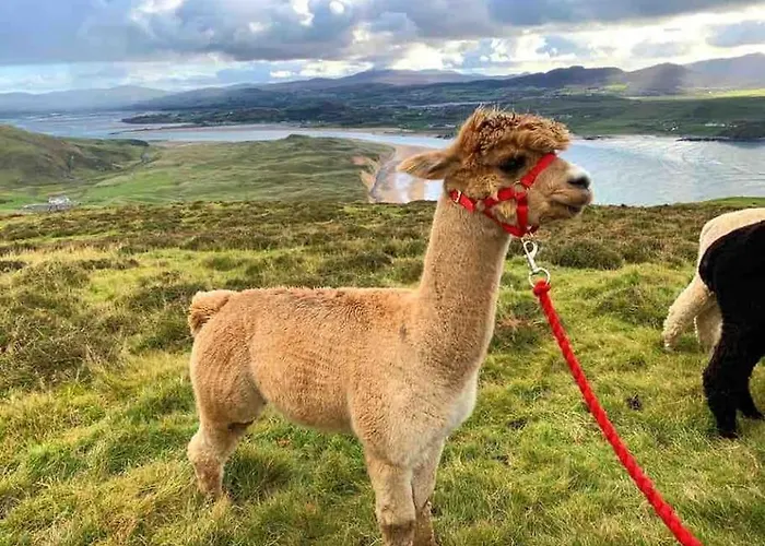 Floor Retreat Portmor- Sea, & Balcony