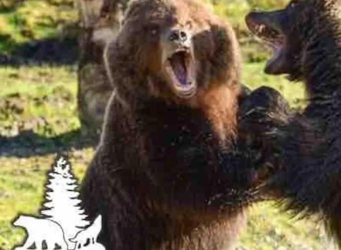 Floor Retreat Portmor- Sea, & Balcony * Slievebane