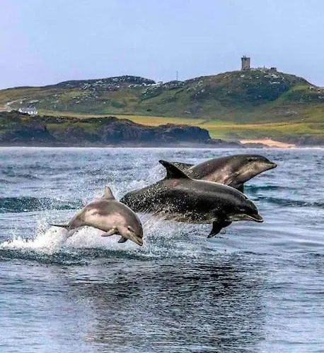 Floor Retreat Portmor- Sea, & Balcony Appartement Slievebane